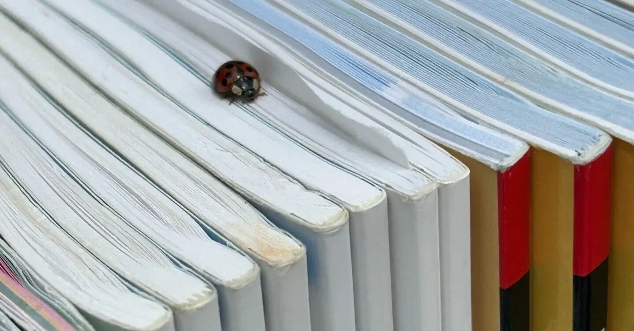 教科書が10冊程度並べられており、その上の中央にテントウムシがいる